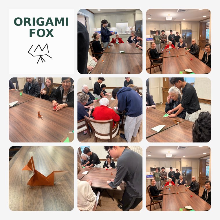 Photos from Foxes in every color