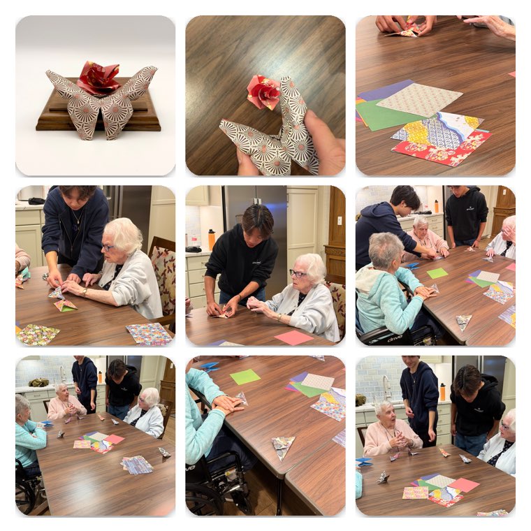 Photos from Butterflies and roses