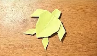 Origami Turtle