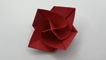 Origami rose! Really fun and easy.